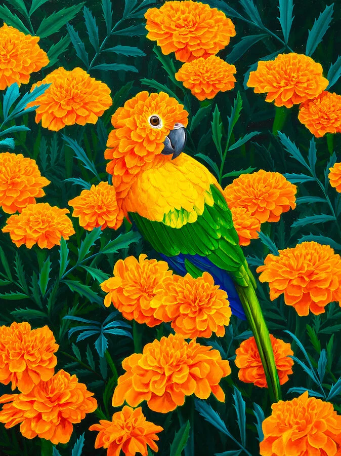 Shop — Jon Ching Art